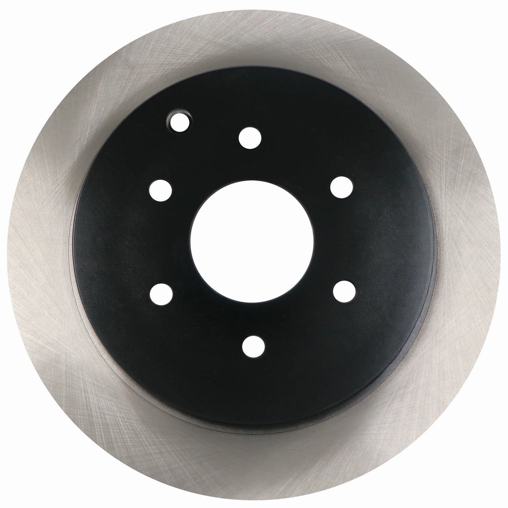 C10695 Pro Series OE  Brake Rotor - Rear