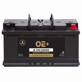 MPG49 Pro-Series OE  Battery