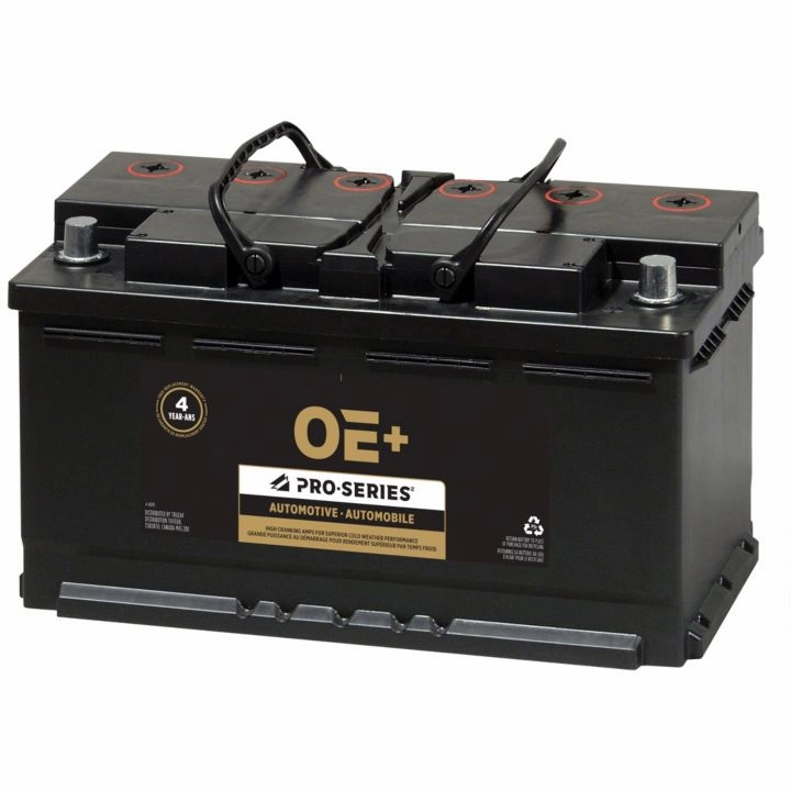 MPG49 Pro-Series OE  Battery